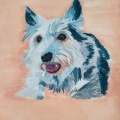 Pet-Portraits-1-of-8