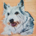 Pet-Portraits-2-of-8