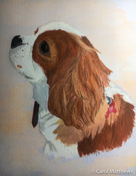 Pet-Portraits-3-of-3.jpg