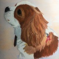 Pet-Portraits-3-of-3