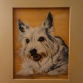 Pet-Portraits-4-of-8