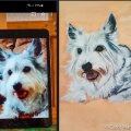 Pet-Portraits-3-of-8