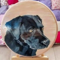 Pet-Portraits-5-of-8