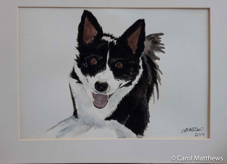 Pet-Portraits-7-of-8.jpg