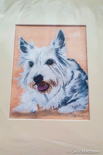 Pet-Portraits-8-of-8.jpg