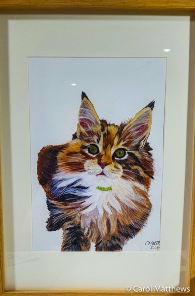 Pets-1-of-2.jpg