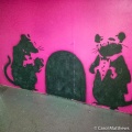 Wall-Murals-6-of-24