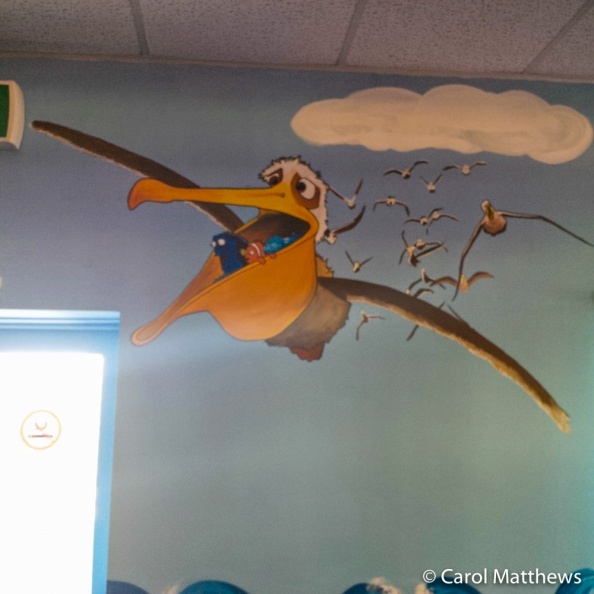 Wall-Murals-10-of-24.jpg
